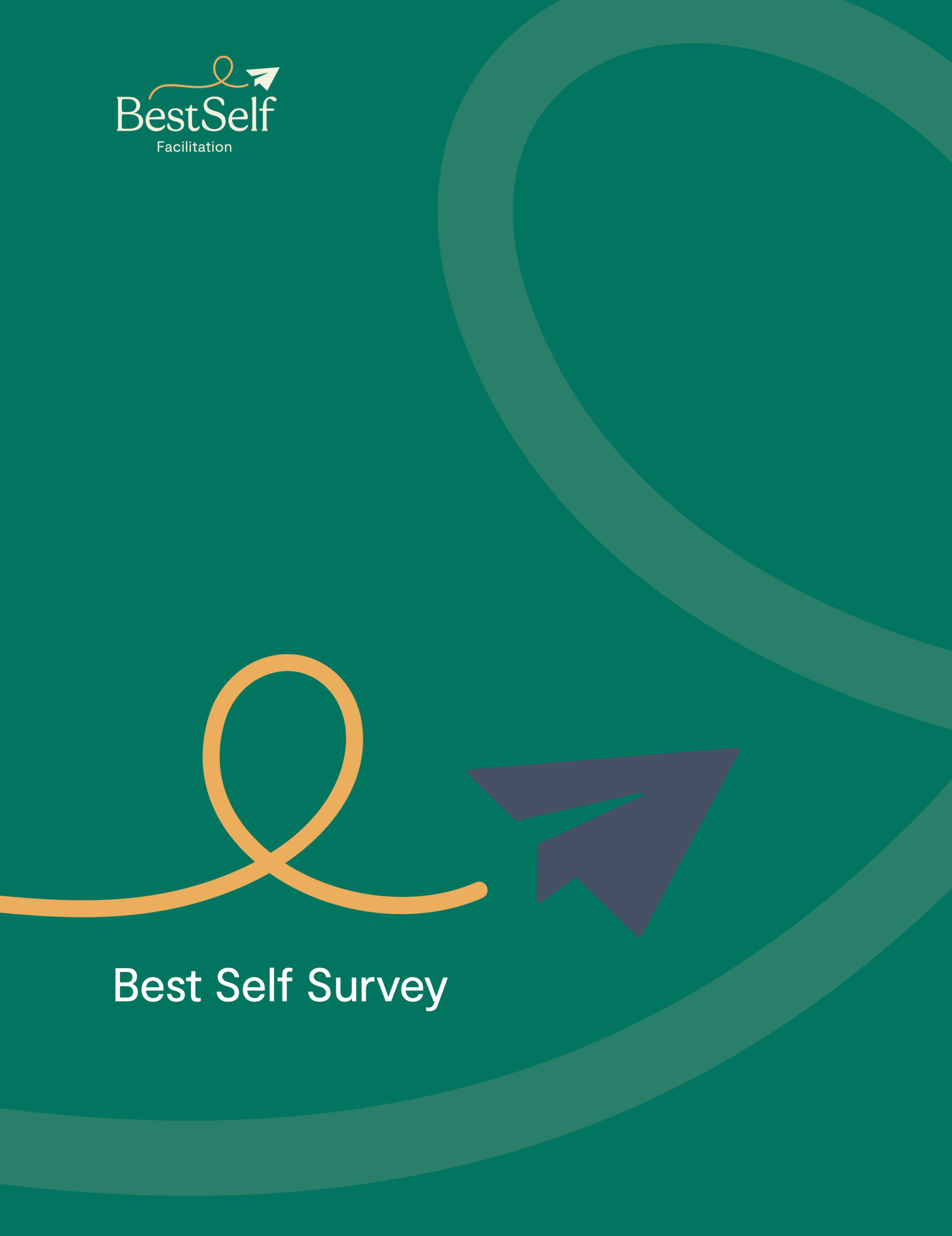 bsf_survey_cover